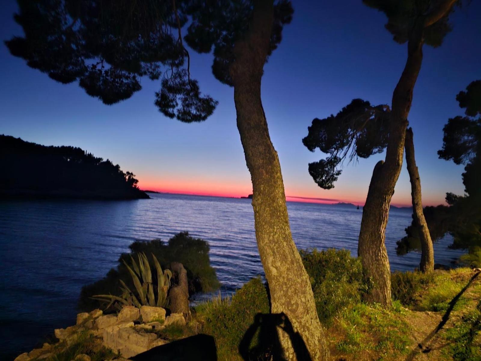 Villa Anica Dubrovnik - Luxurious With A Sea View Kültér fotó
